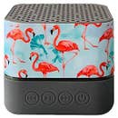Flamingo Bluetooth Radio